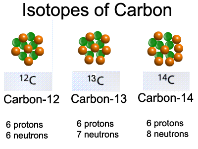 identify two differences between carbon 12 and carbon 14 identify two differences between carbon 12 and carbon 14
