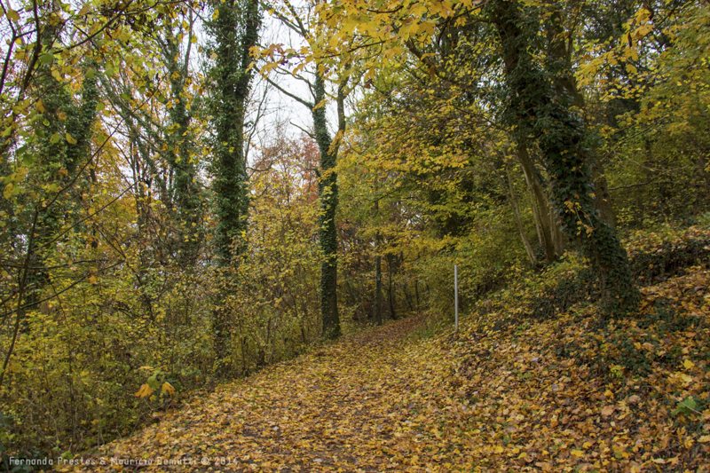 outono no castelo de malbrouck outono no castelo de malbrouck