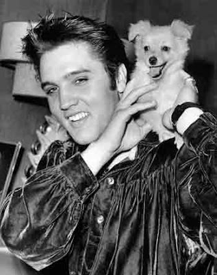 Las Mascotas de Elvis Presley
