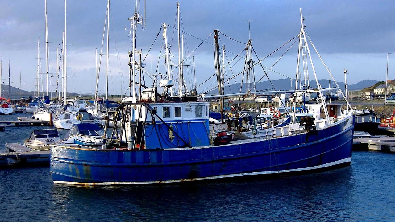 Currach Irish Fishing Boat Fish Choices