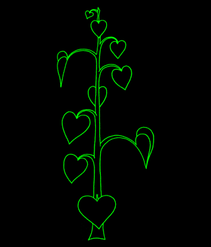 leaf-arrangement