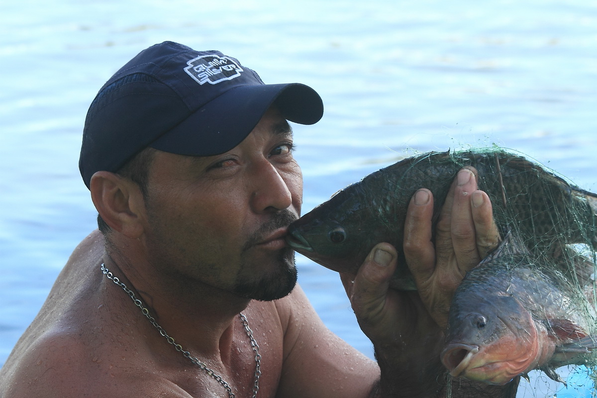 Tilapia farming 2015