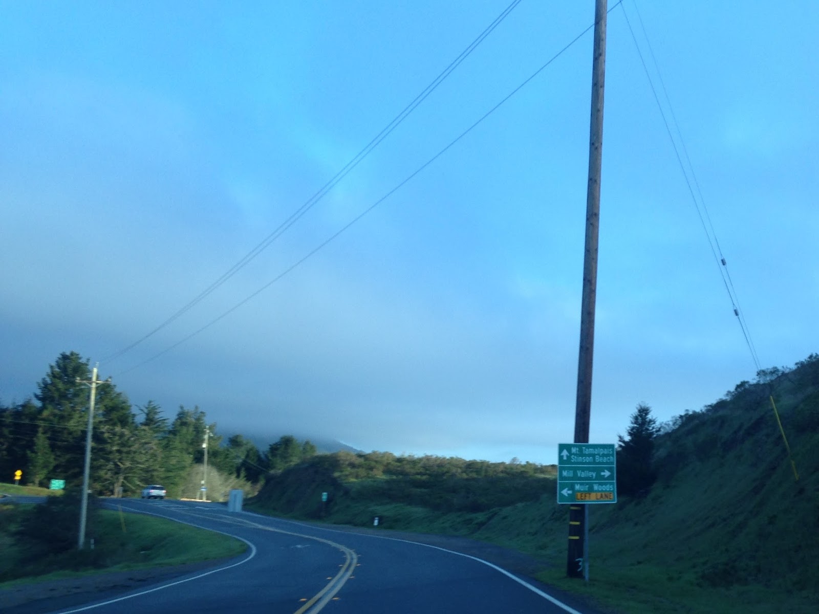 Disaster Tourism Trip Part 5; Muir Woods Road and The Panoramic Highway