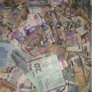 Nigerian lady shows off the N64k she saved in a piggy bank for 3 months and 3 weeks