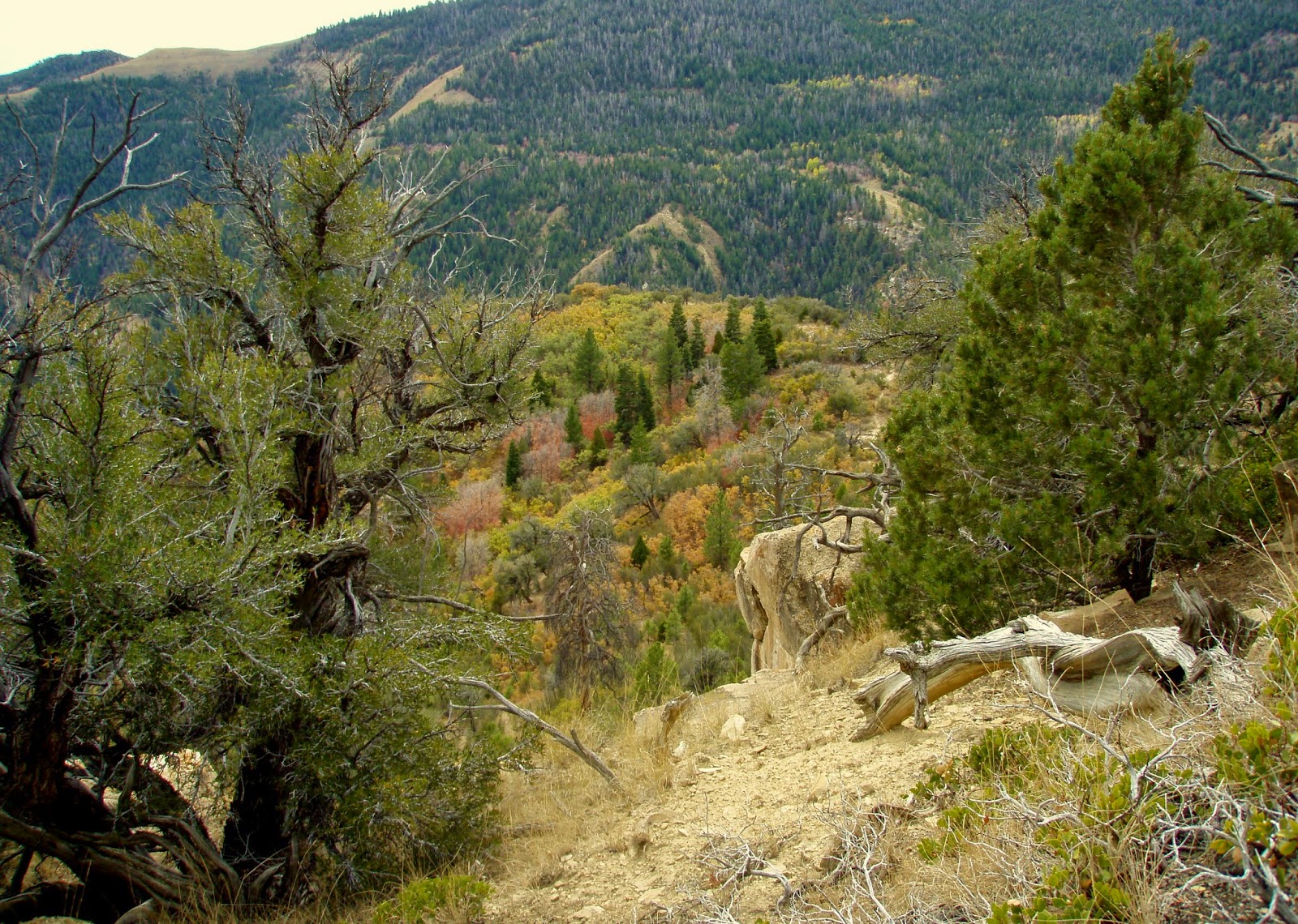 One Day in America Price Canyon Recreation Area, near Price, Utah