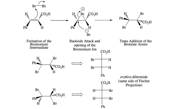 Bromination of trans cinnamic acid essay picture