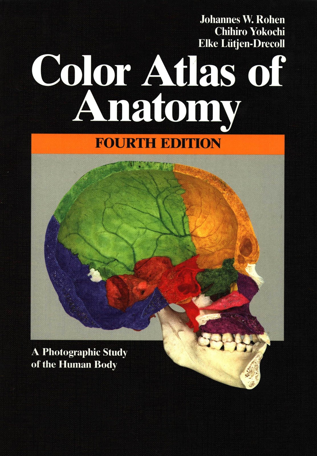 PERPUS: Color Atlas of Anatomy | Rohen, Yokochi