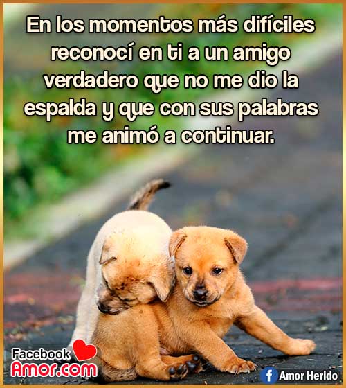 frases lindas de amistad bonitas frases lindas de amistad bonitas