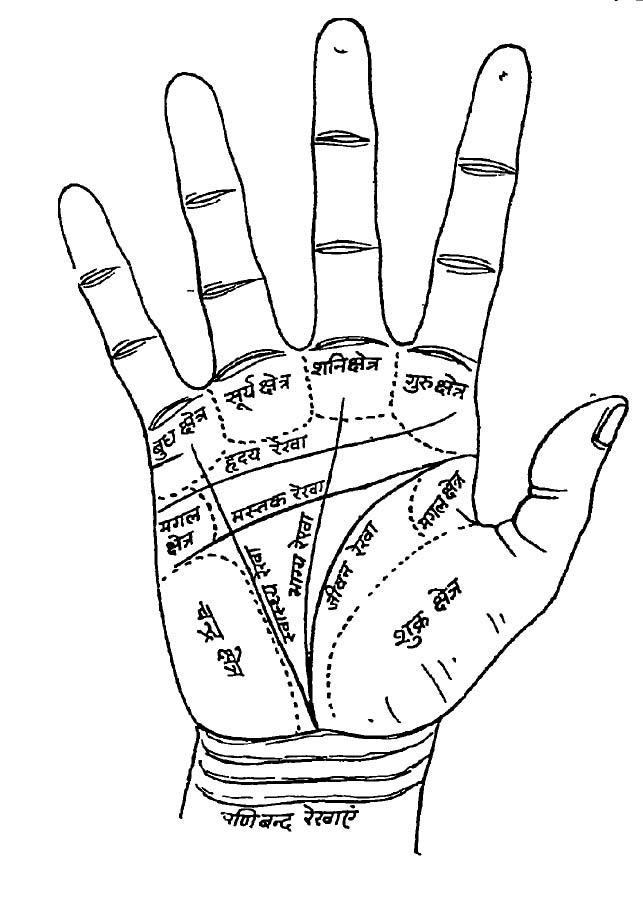 hand reading astrology in hindi online