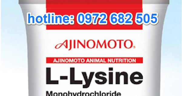 Lysine là gì? Sử dụng Lysine trong thức ăn chăn nuôi