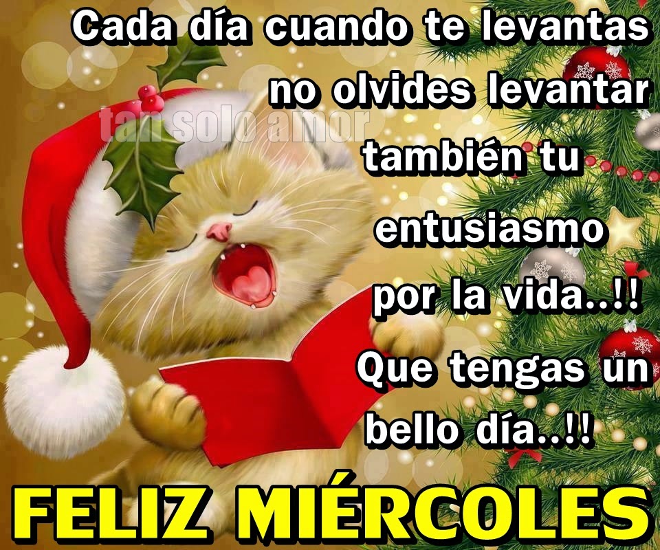 Resultado de imagen de buen miercoles frases