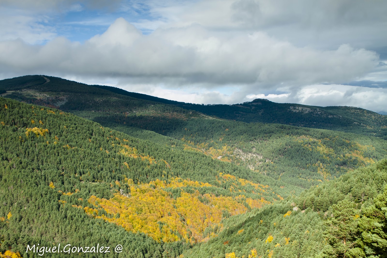 crónicadeunviajero Parque Natural de Sierra de Cebollera