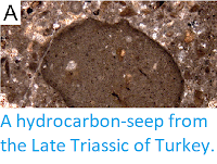 http://sciencythoughts.blogspot.co.uk/2017/08/a-hydrocarbon-seep-from-late-triassic.html