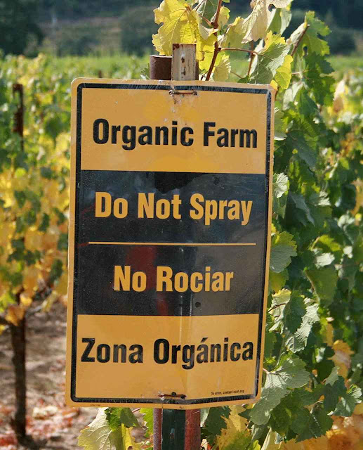 A despeito da demonização, a agricultura orgânica usa largamente os pesticidas com licença legal. A despeito da demonização, a agricultura orgânica usa largamente os pesticidas com licença legal.