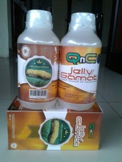 Obat Kolestasis Herbal Obat Kolestasis Herbal