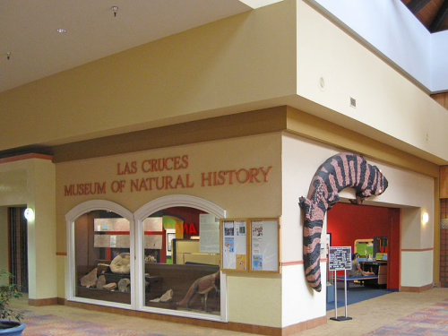 las cruces museum of natural history, las cruces nm