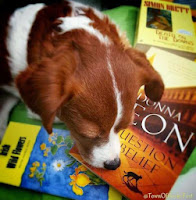 Petal 'nose' how to sniff out a good book