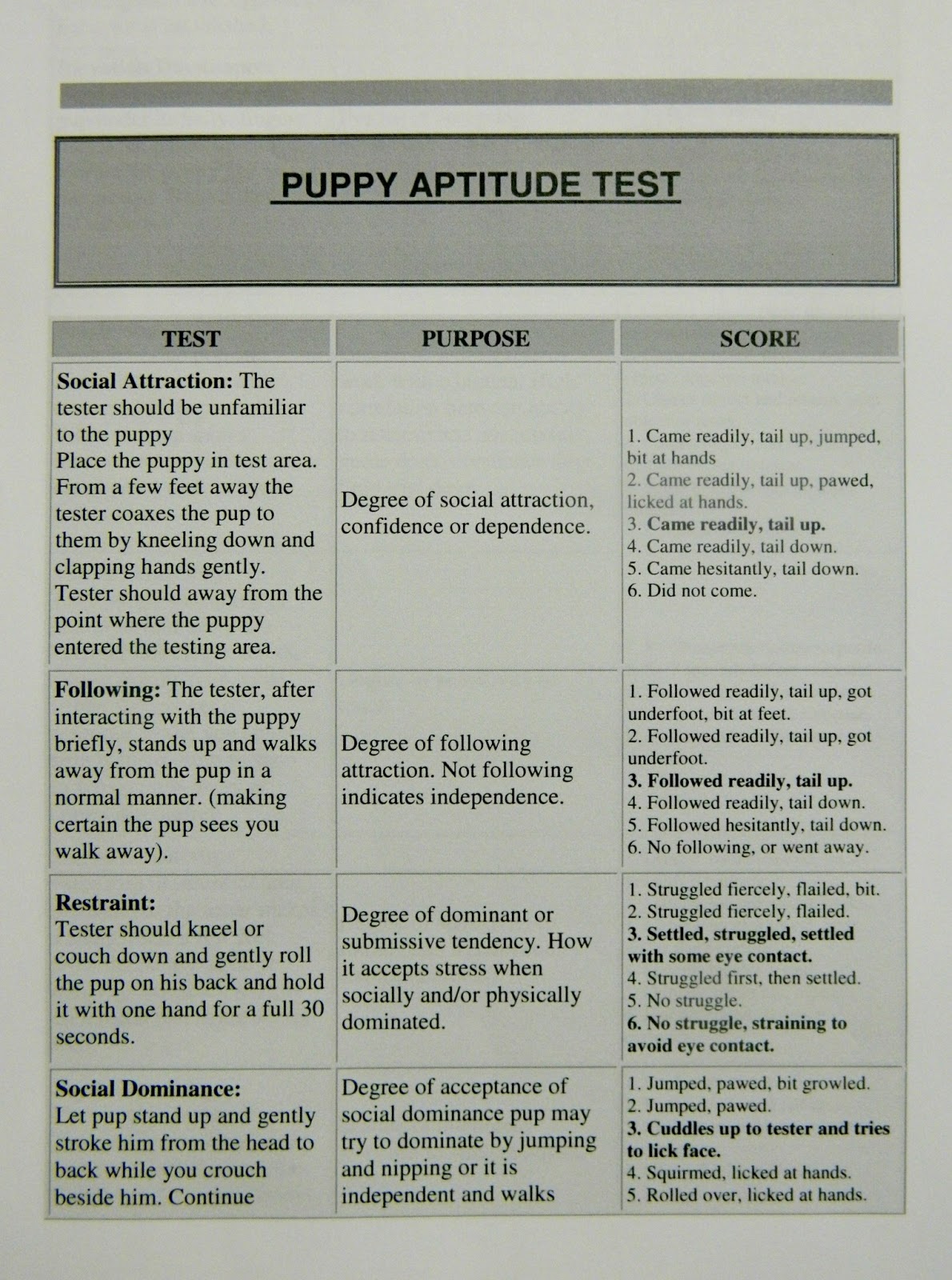 nine-newfies-day-47-puppy-aptitude-test
