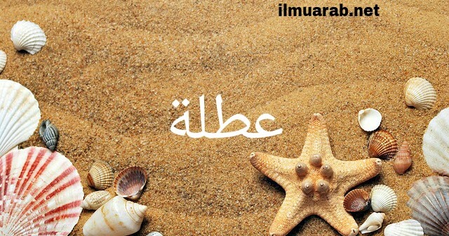 Cerita pengalaman liburan dalam bahasa arab
