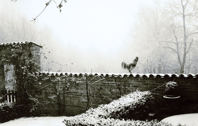 Tour all-season garden inside (& out) a boho farmhouse in Italy - exterior 5 Oberto Gili on Architectural Digest. www.bohohome.com @bohosusan
