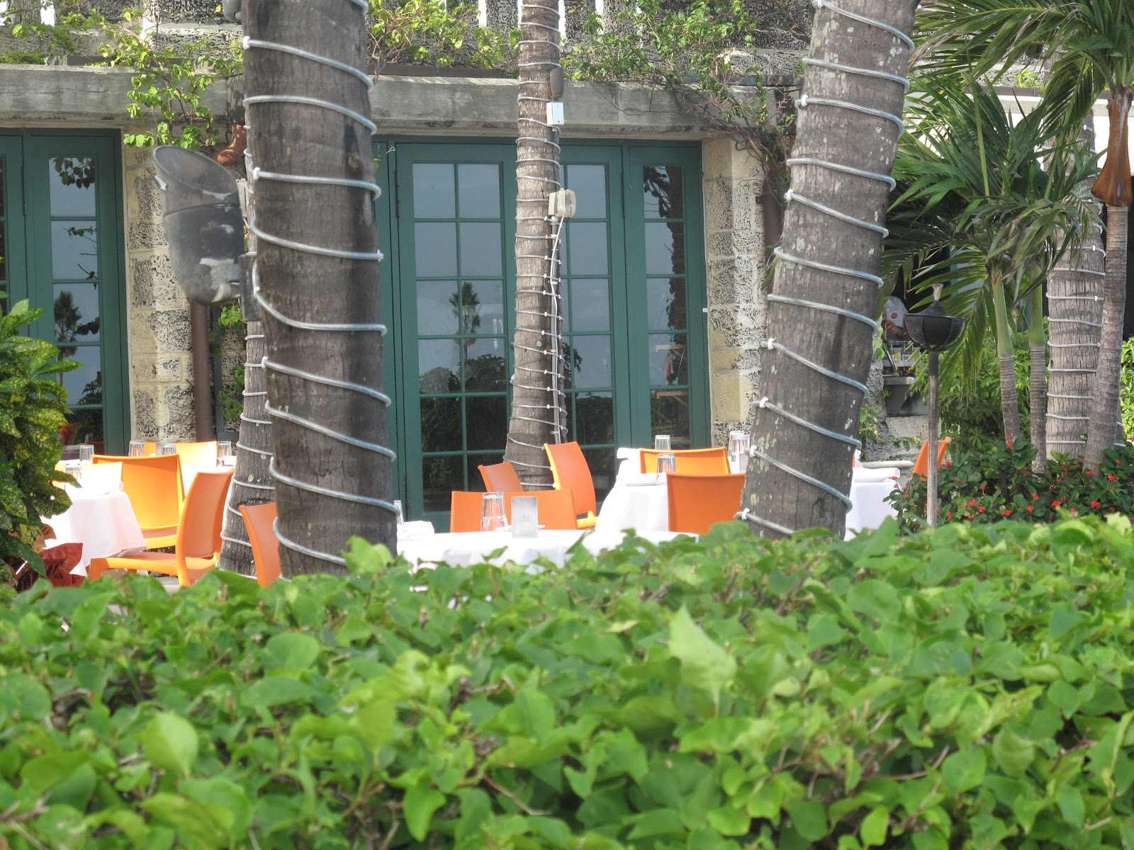 The Parks Department Matheson Hammock Park