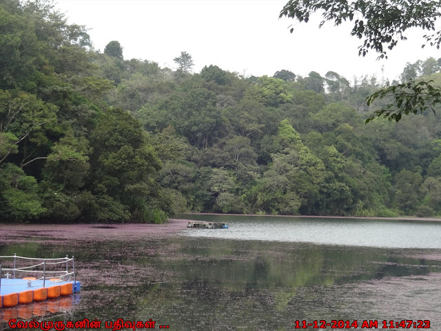 Pookode lake Wayanad