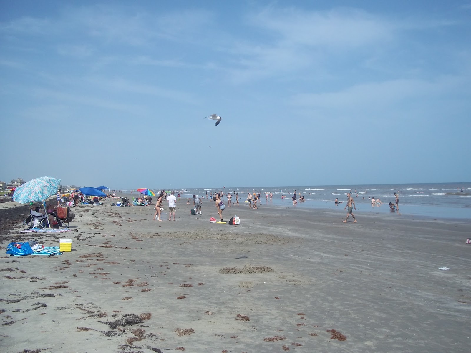 Happy Campers Galveston Island State Park