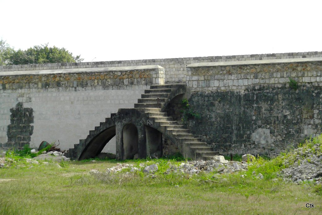 DSCF2846.JPG