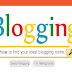 Blog Strategy #2 : How to Find Your Ideal Blogging Niche?