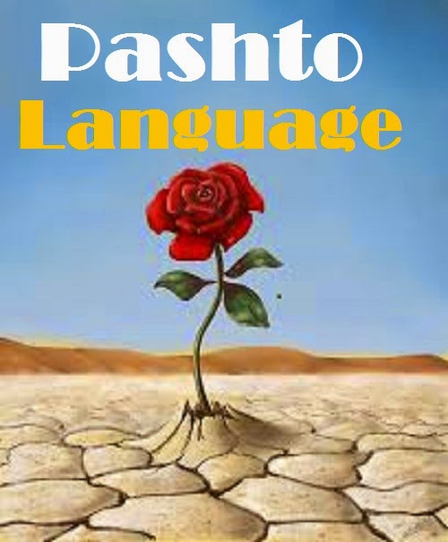 best book pashto englsh