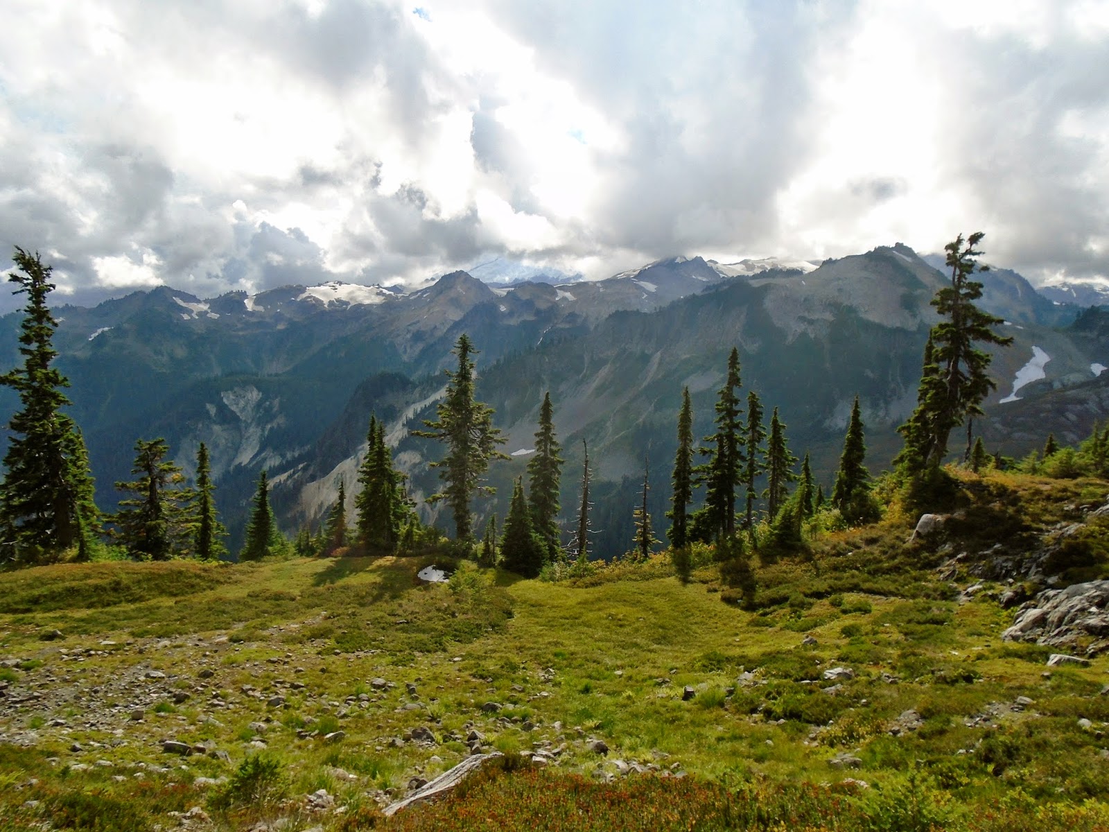 Marblemount Homestead Our amazing rite of passage