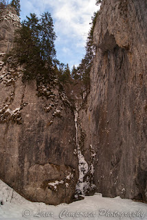 Cheile Zarnestilor Zarnesti Canyon Prapastiile Zarnestilor