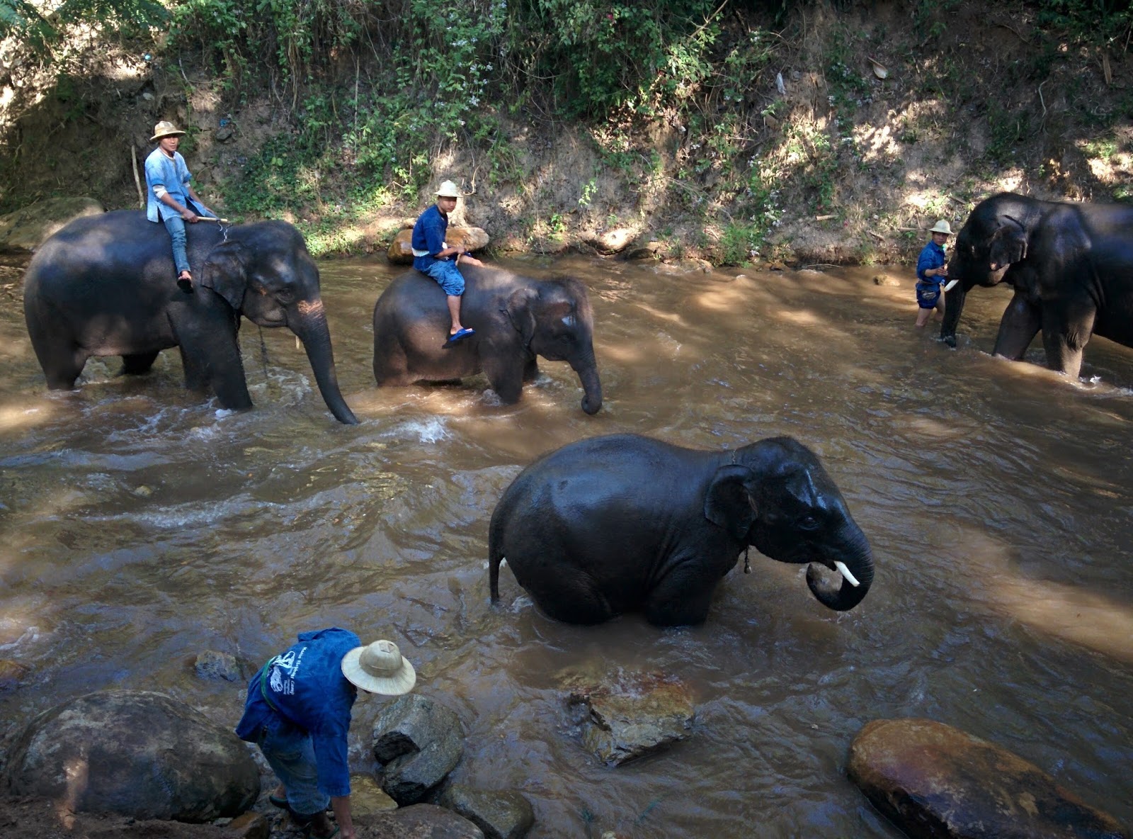 Combien Faut Il Pour Bien Vivre En Thailande Olivier en Corée: Voyage en Thaïlande - Thailand Trip (2/3)
