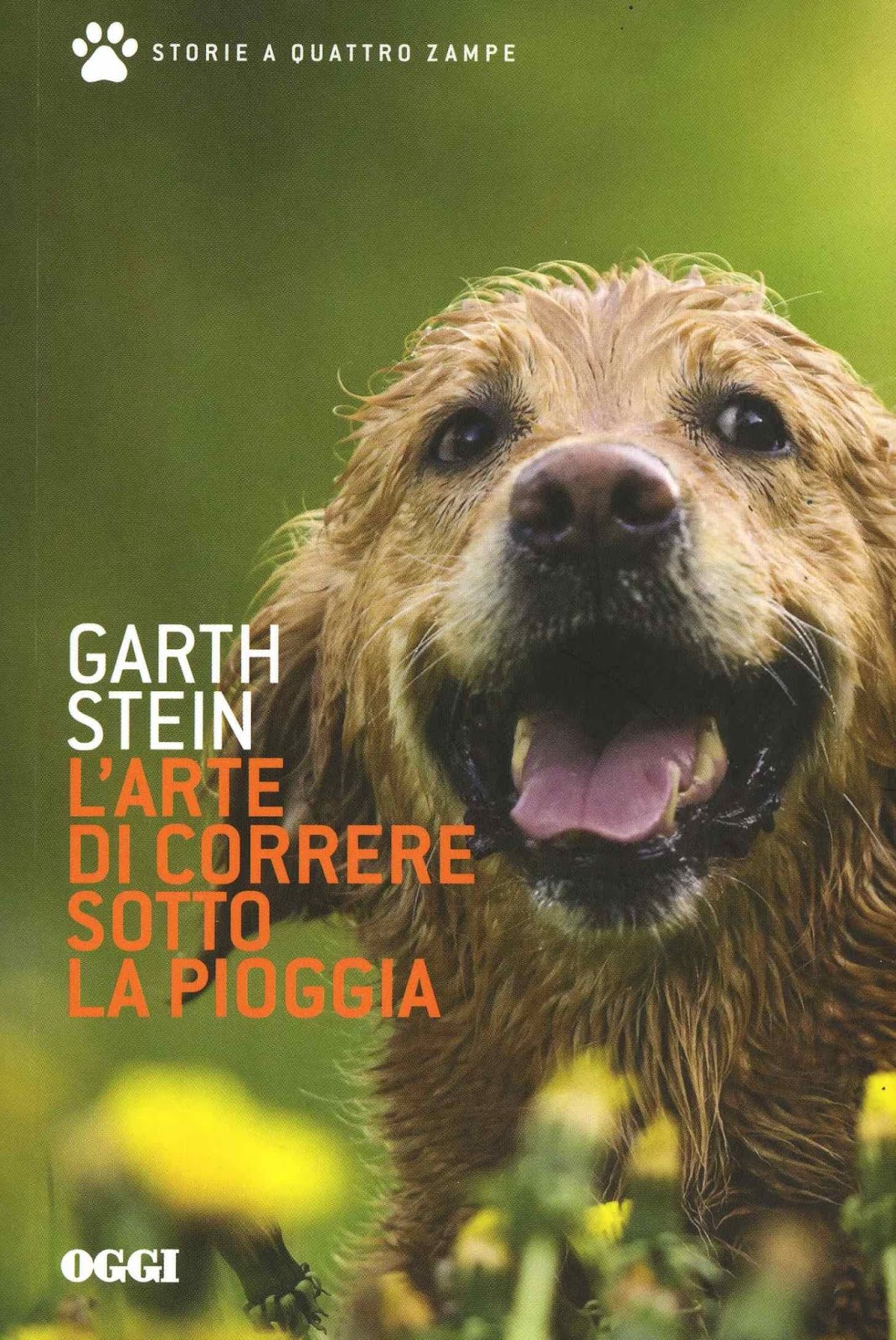 Leggo Rosa L'arte di correre sotto la pioggia di Garth Stein