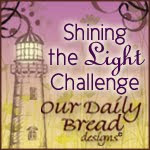 Shining The Light Challenge Award Winner