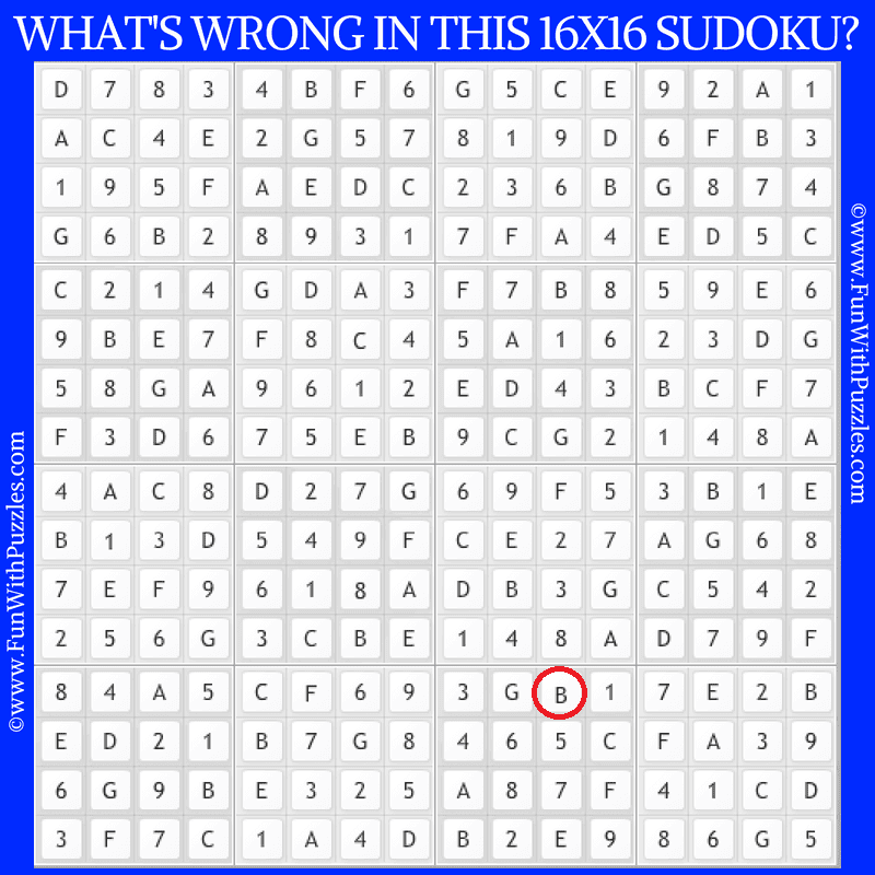 Mistaking Jumbo 16x16 Sudoku Puzzle for Adults