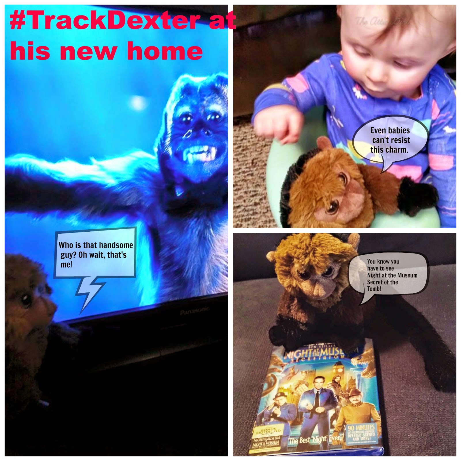 Night at the Museum Secret of the Tomb Track Dexter