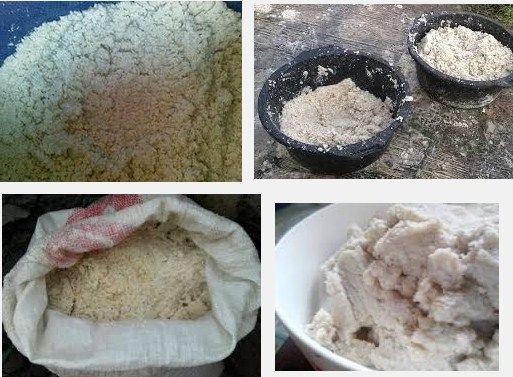 Jenis Limbah Pasar Pakan Alternatif Budidaya Ikan Lele Jenis Limbah Pasar Pakan Alternatif Budidaya Ikan Lele