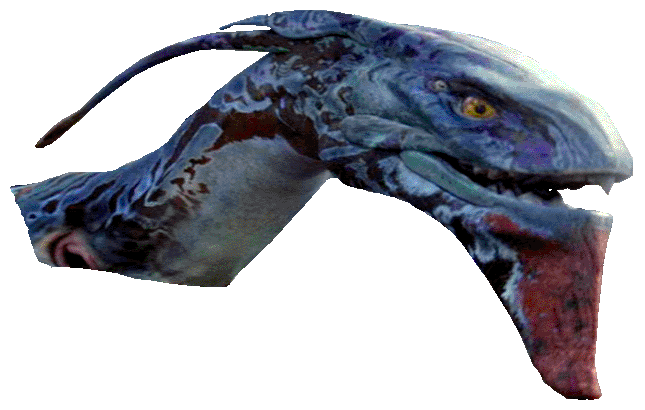 pterosaur head