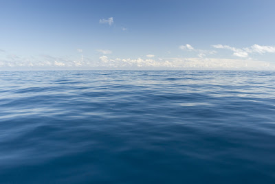 Marine Ecosystem Marine Ecosystem