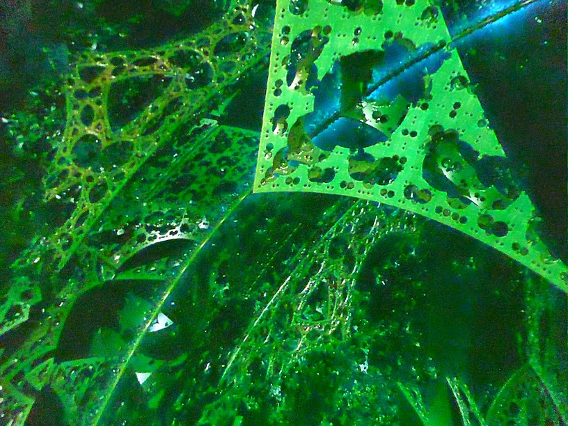 La forêt fractale d'Andreas Schwietzke illustrant Paradise sous le dôme du Planétarium de Iéna / photo S. Mazars La forêt fractale d'Andreas Schwietzke illustrant Paradise sous le dôme du Planétarium de Iéna / photo S. Mazars