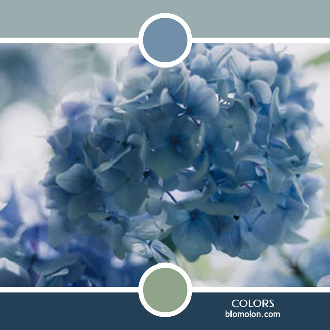 variedad en color color 54 variedad_en_color_color_54
