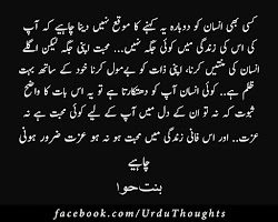 urdu quotes awesome thoughts insan