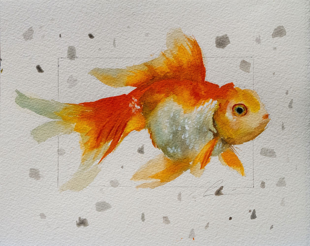 Clair Hartmann Goldfish