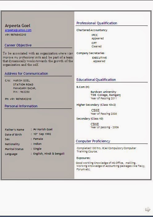 english resume format