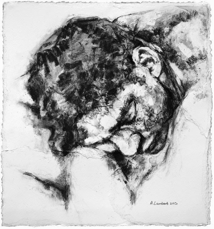 Эмоции и выражения. Alison Lambert Эмоции и выражения. Alison Lambert