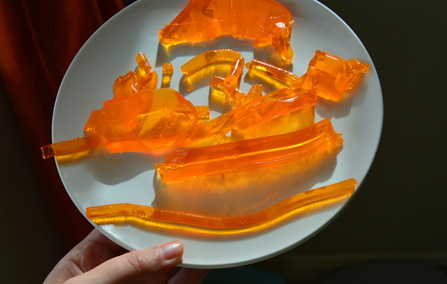 A school of fish Jello Fossil activity, Petrification, and