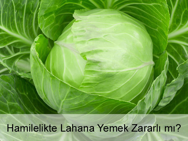 Hamilelikte Lahana Yemek Zararlı mı? Hamilelikte Lahana Yemek Zararlı mı?