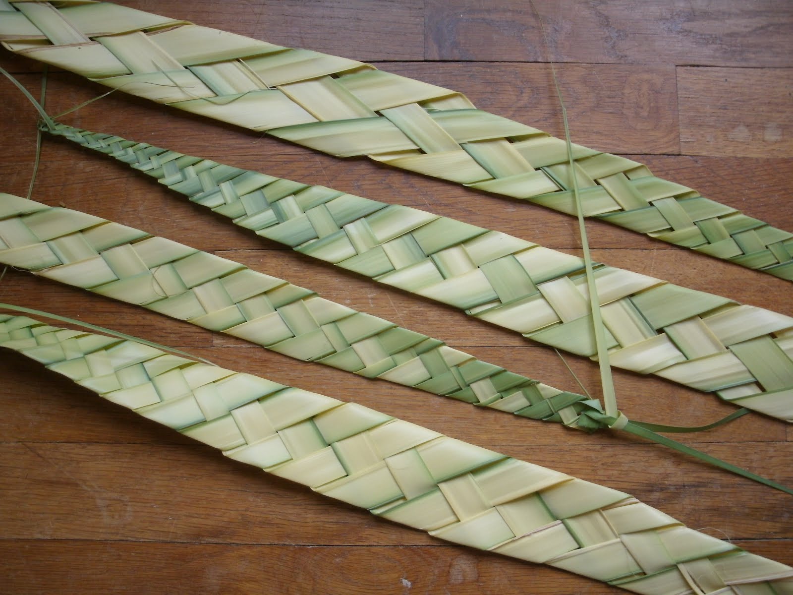 Timotheos Prologizes Palm Sunday tutorial