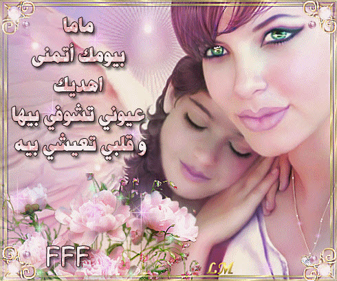 df91692bfb